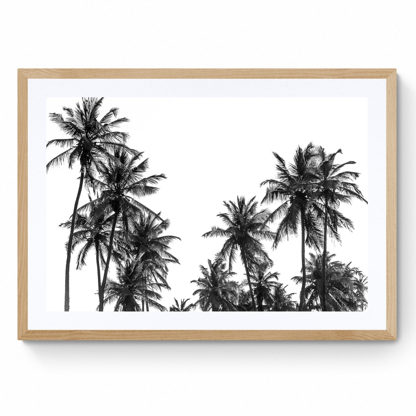 palm trees print
