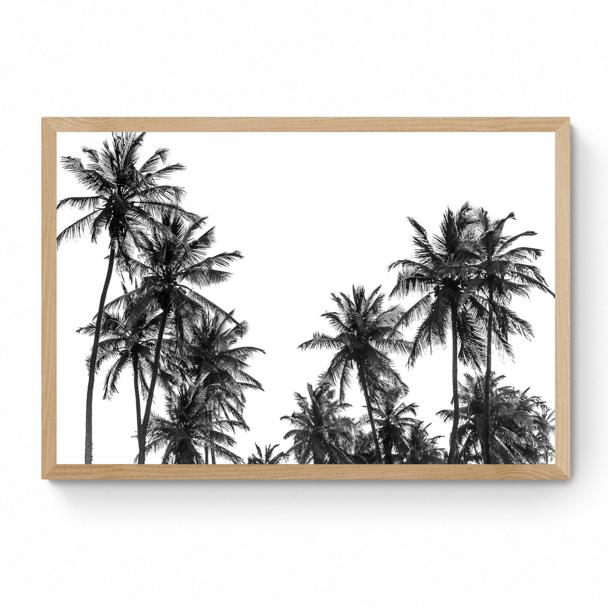 palm trees print