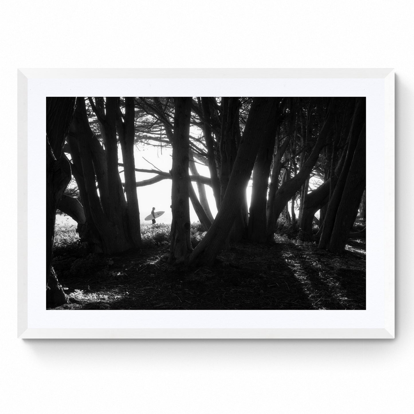 black and white surf posters