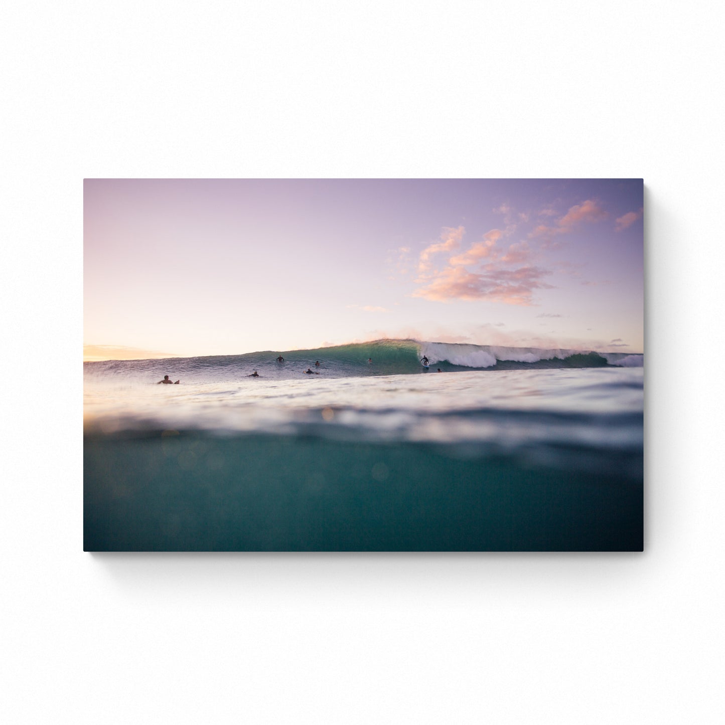 night swimmers print
