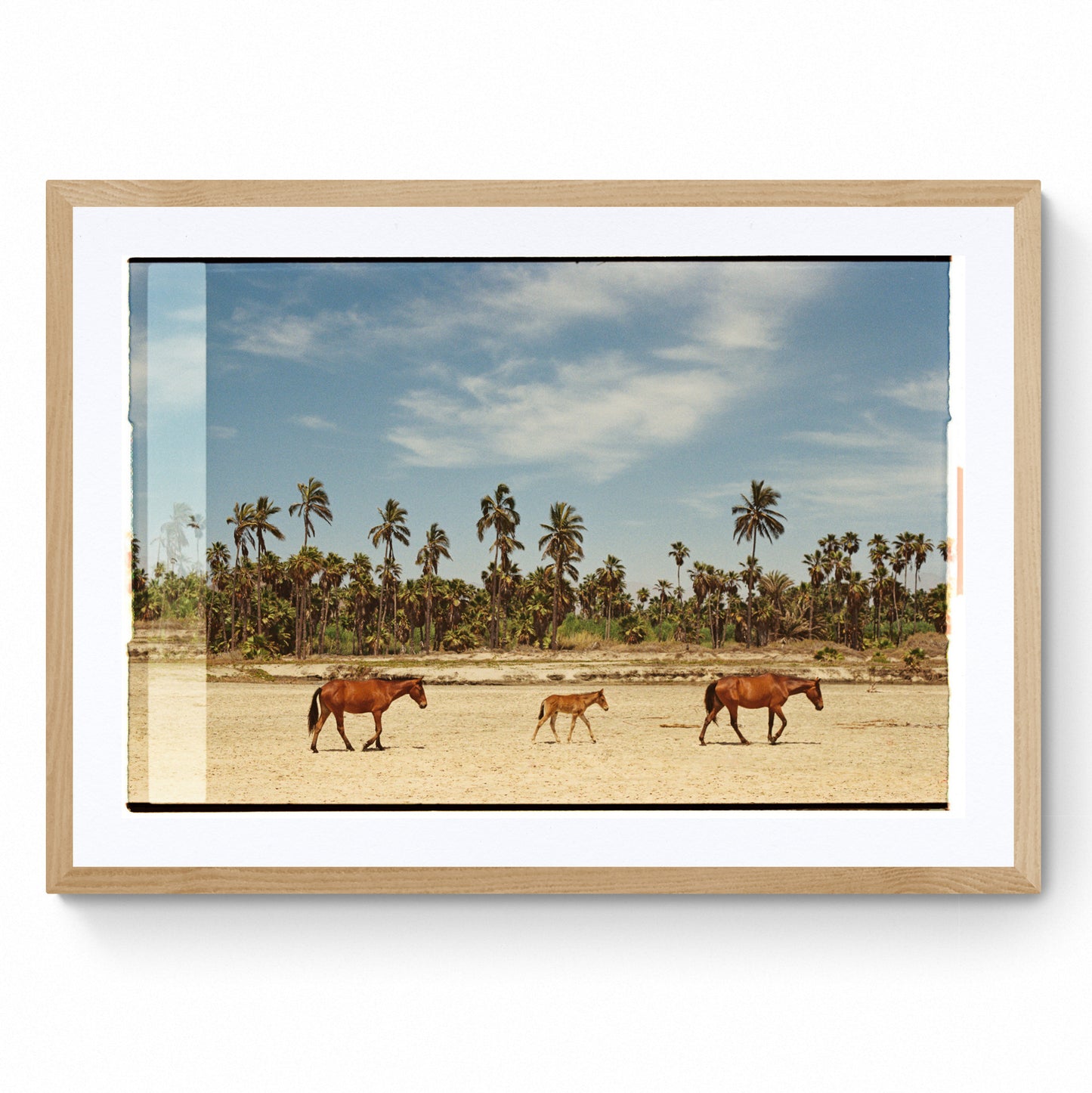 wall art horses