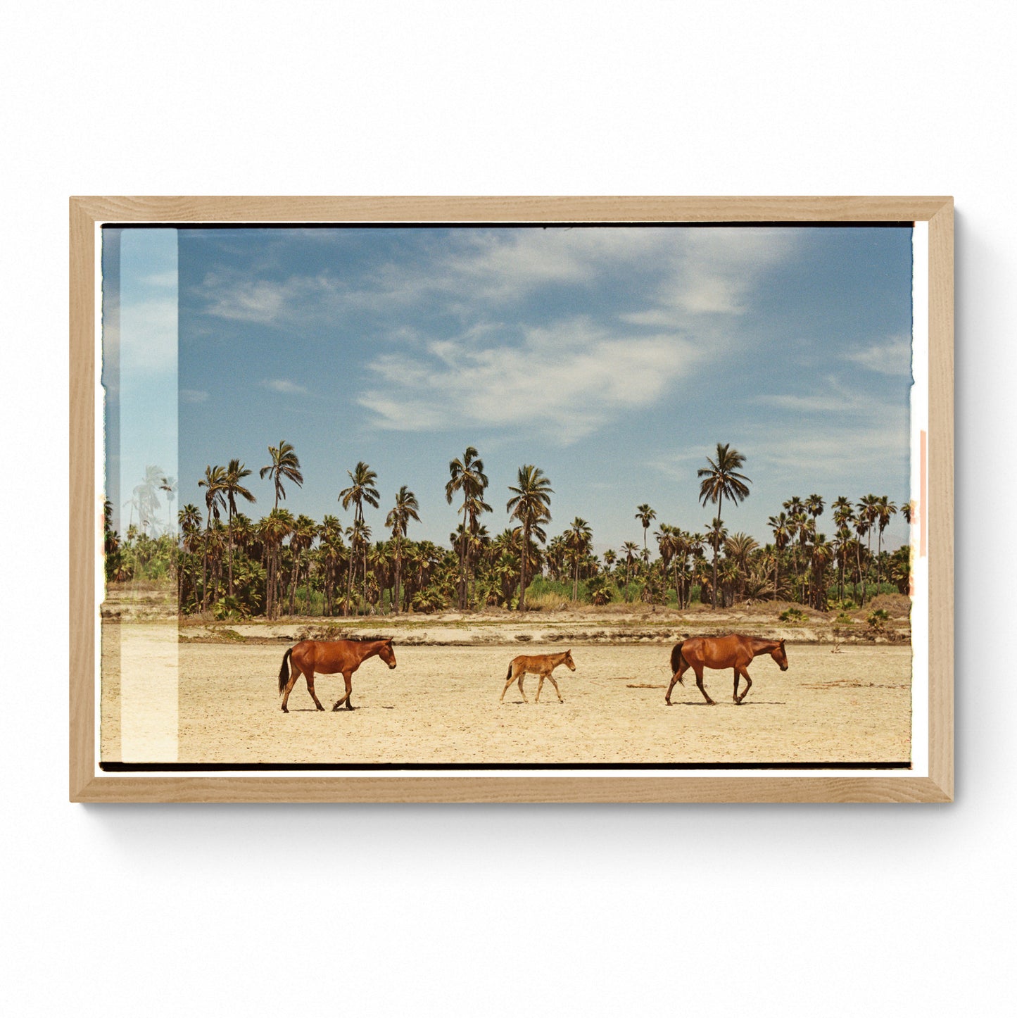 wild horses wall art