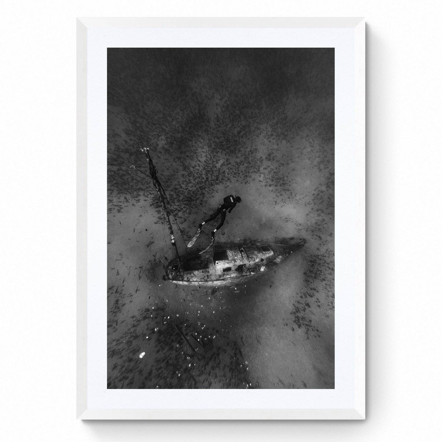 underwater ocean wall art