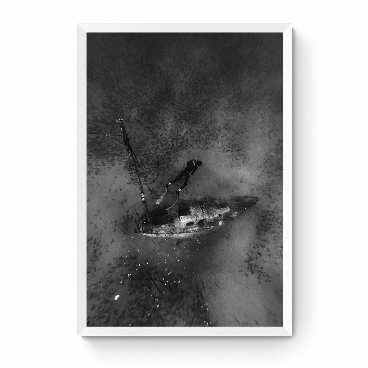 scuba diver prints