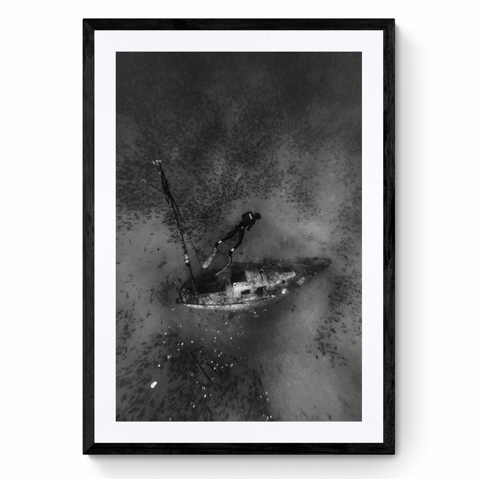 underwater wall art
