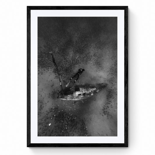 underwater wall art