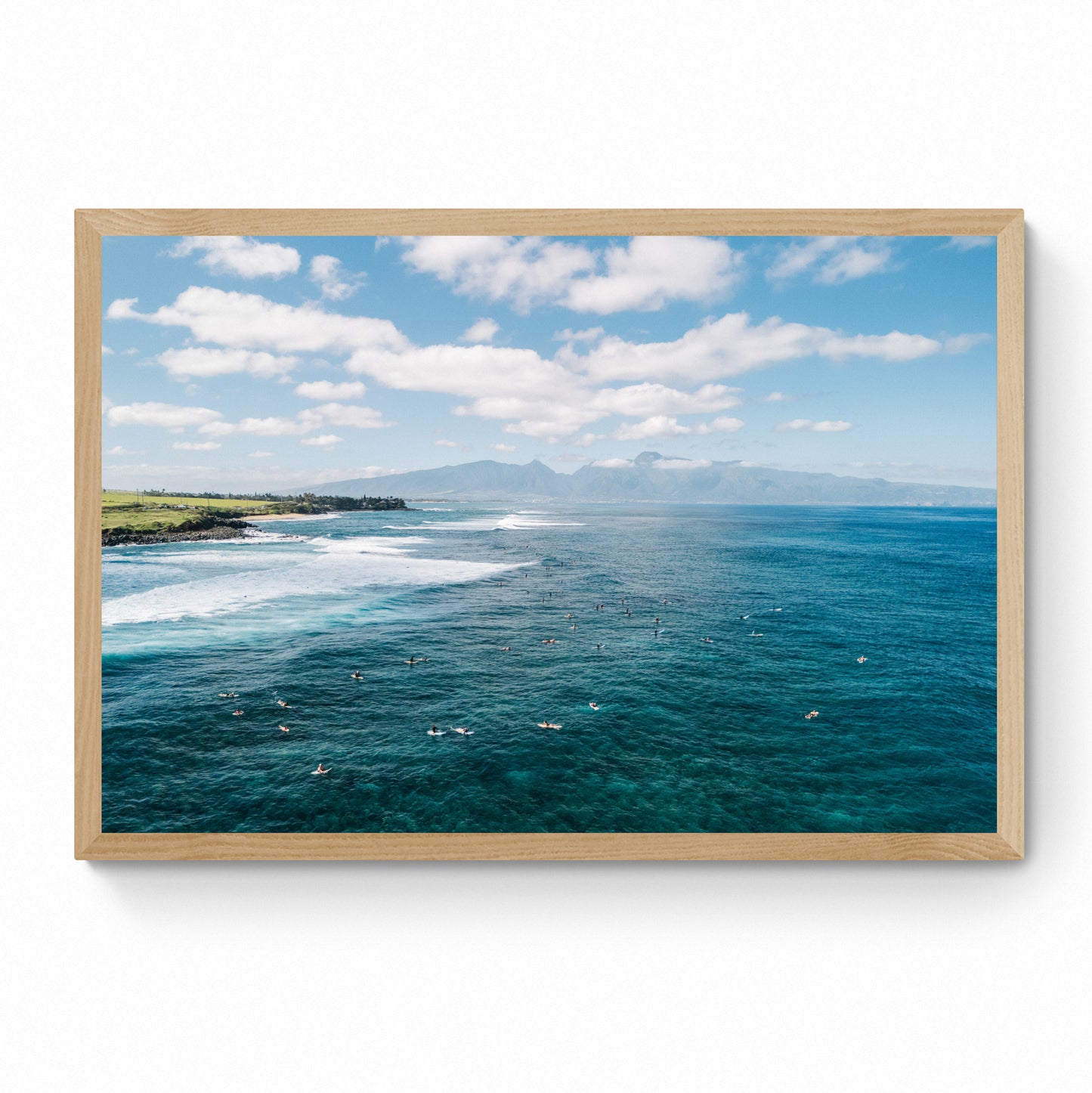 hawaiian wall art
