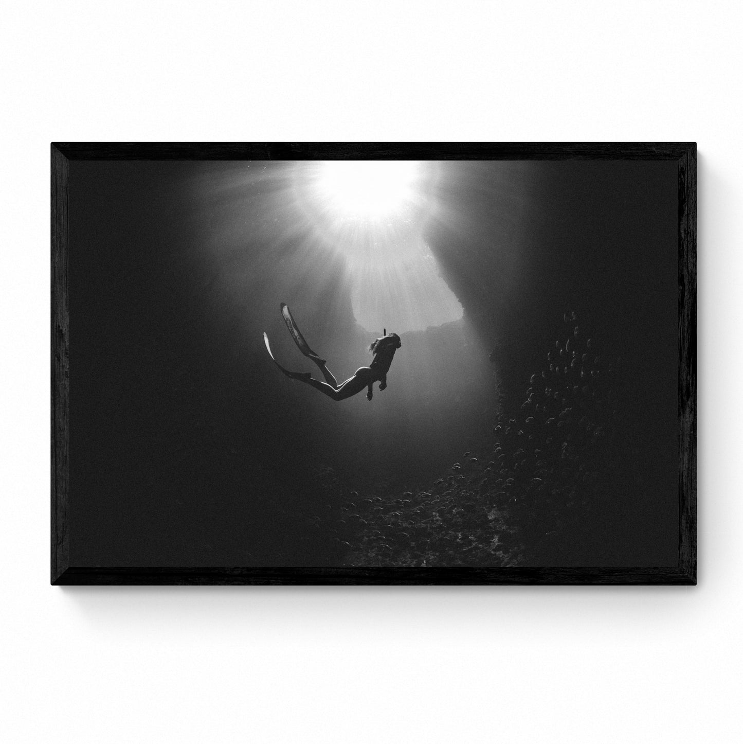 underwater wall art