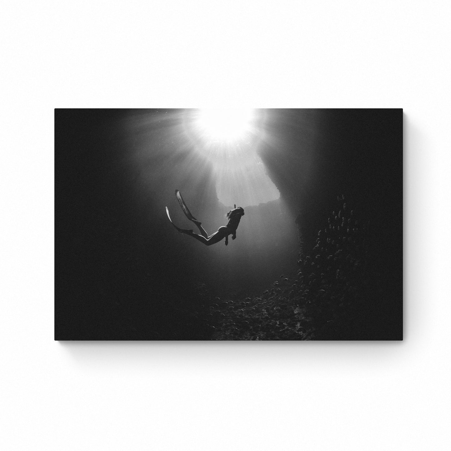 scuba diver wall art
