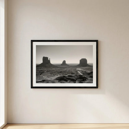 modern desert print