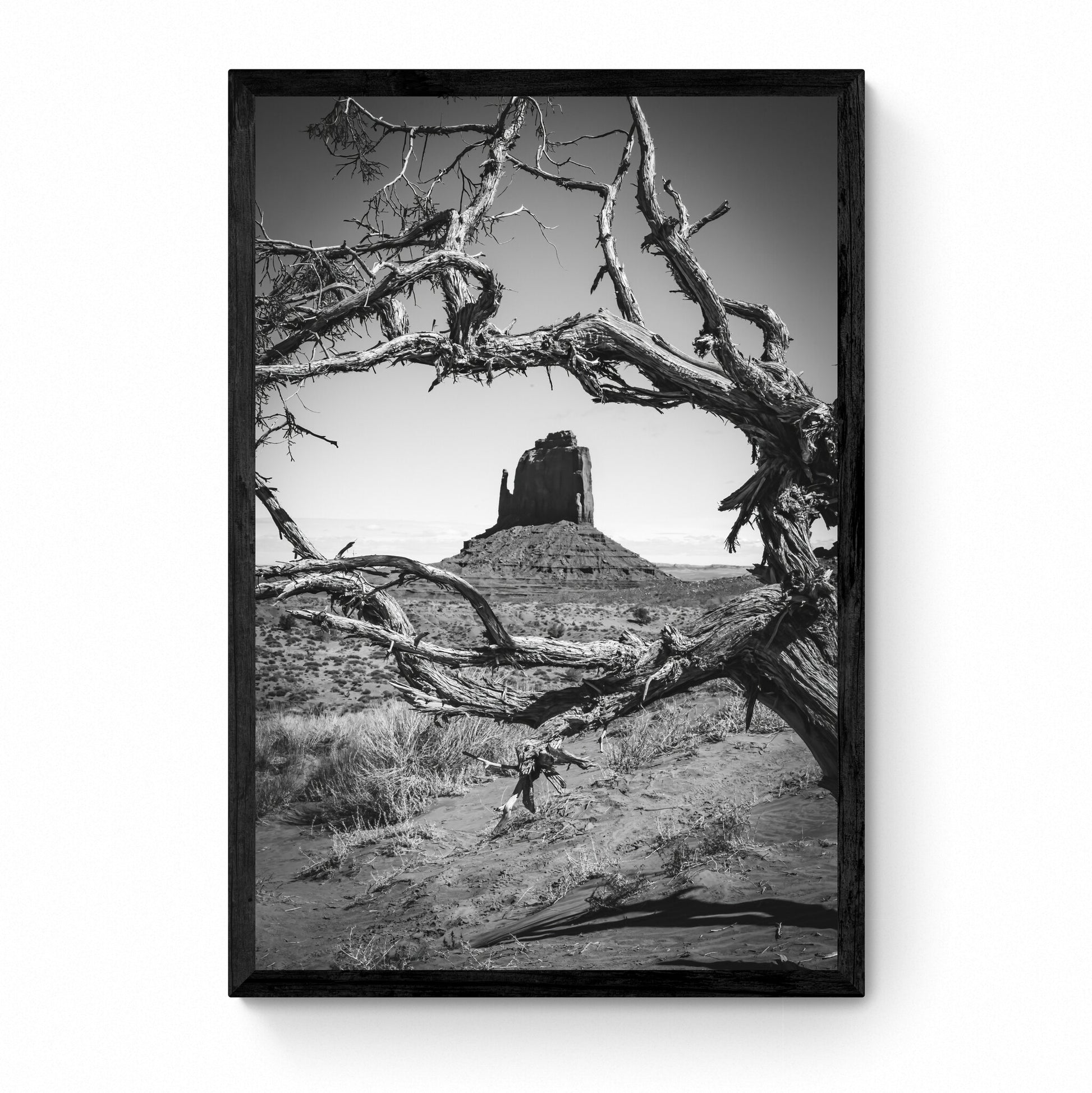 black and white fine art photography