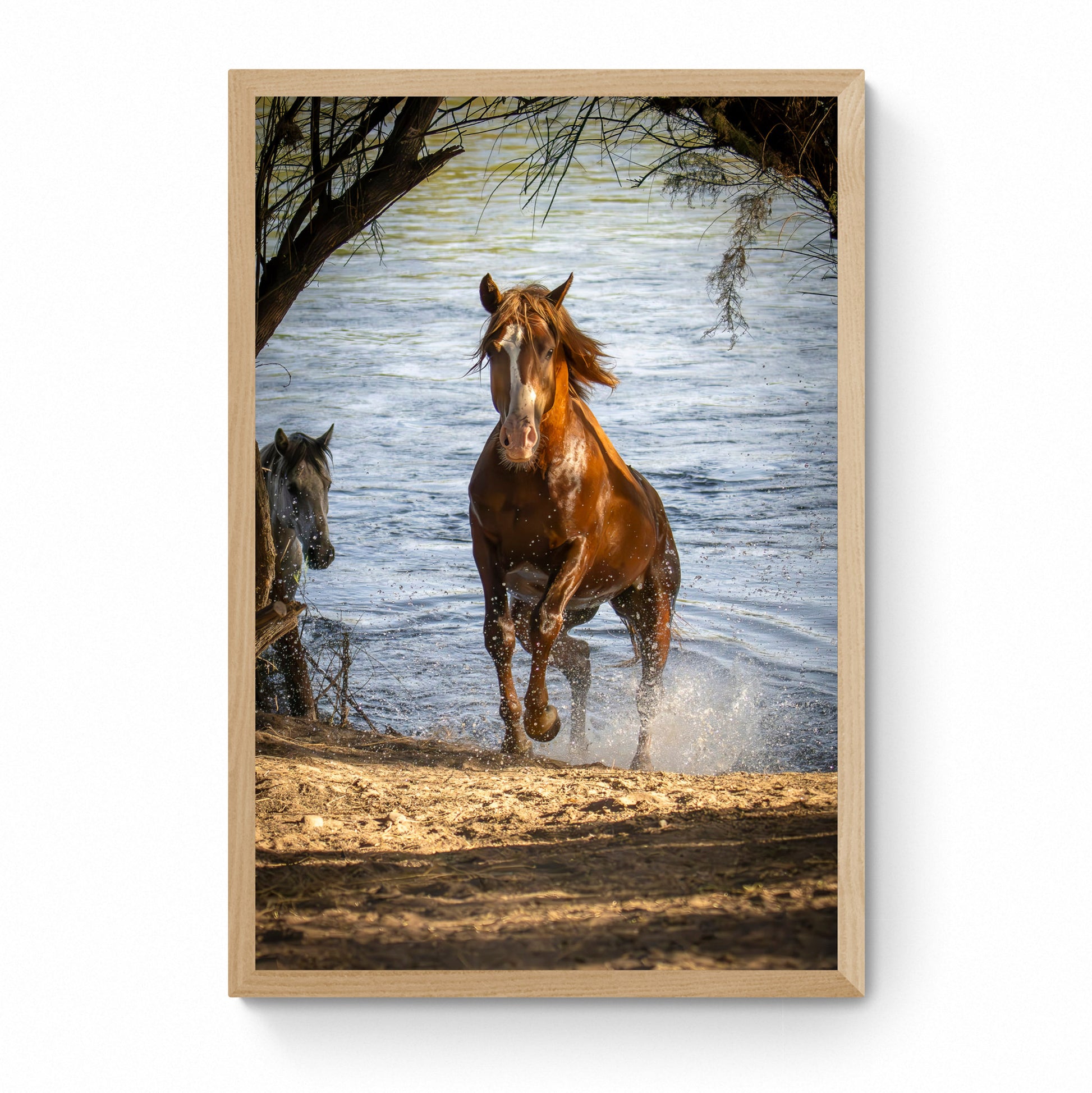 horse prints framed
