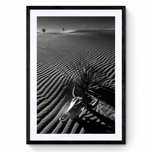 black and white framed art