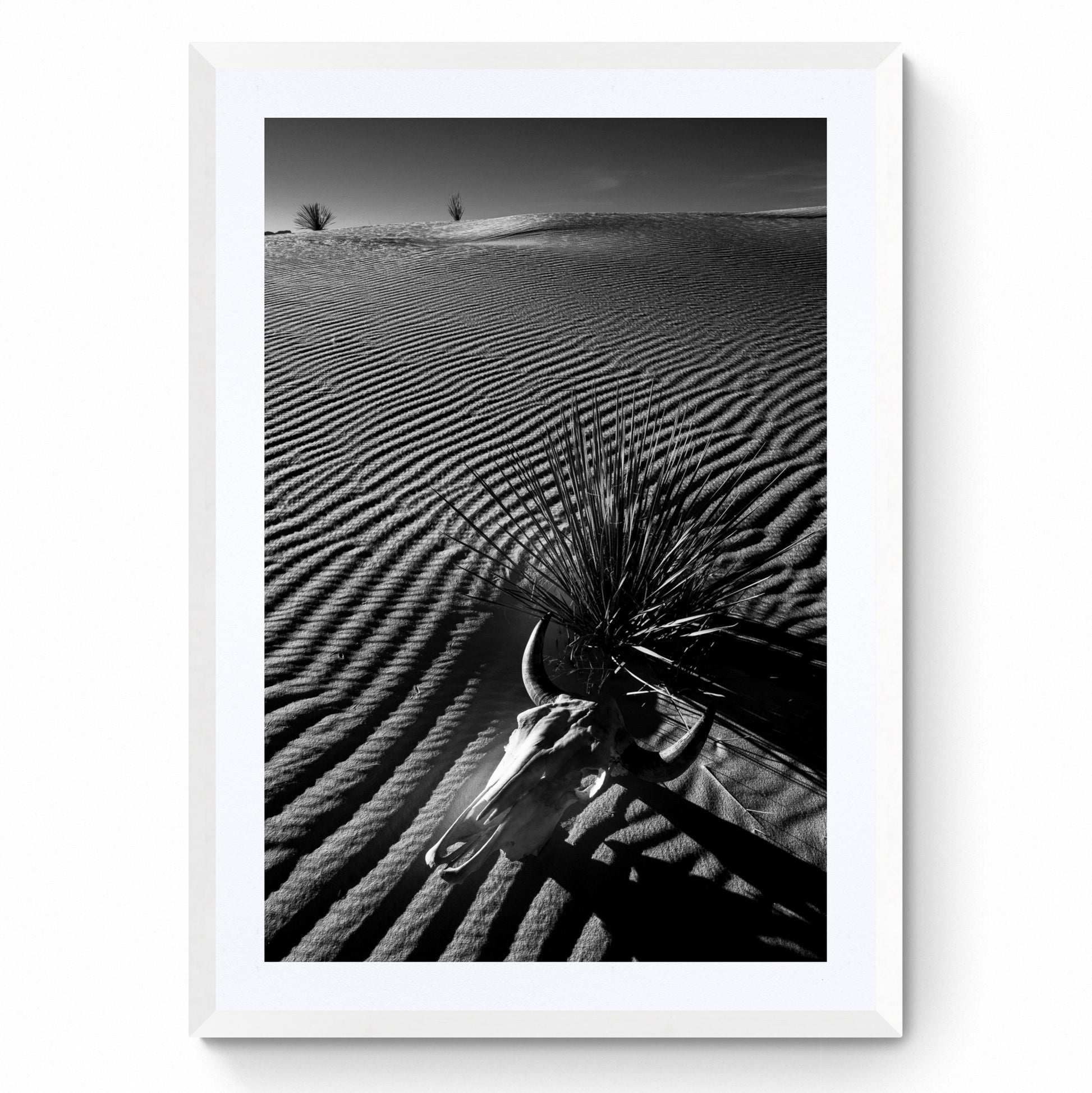 black and white prints for wall