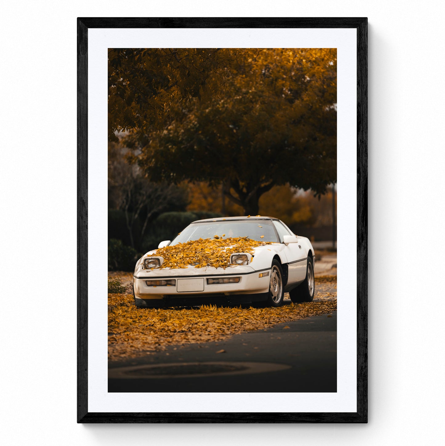 corvette art