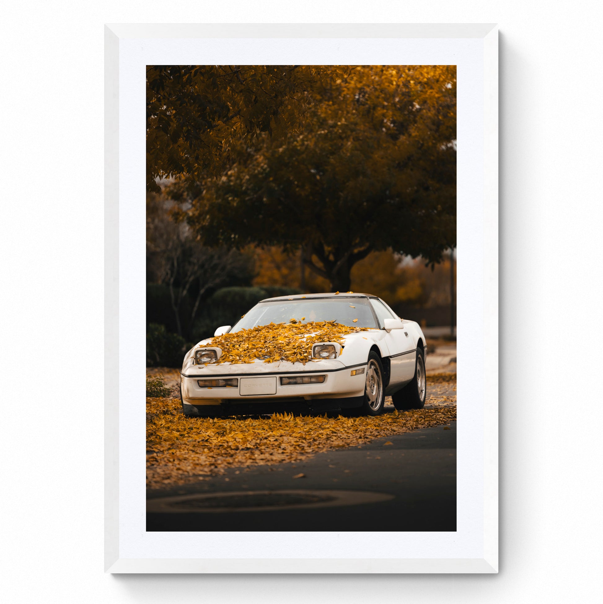 corvette wall art