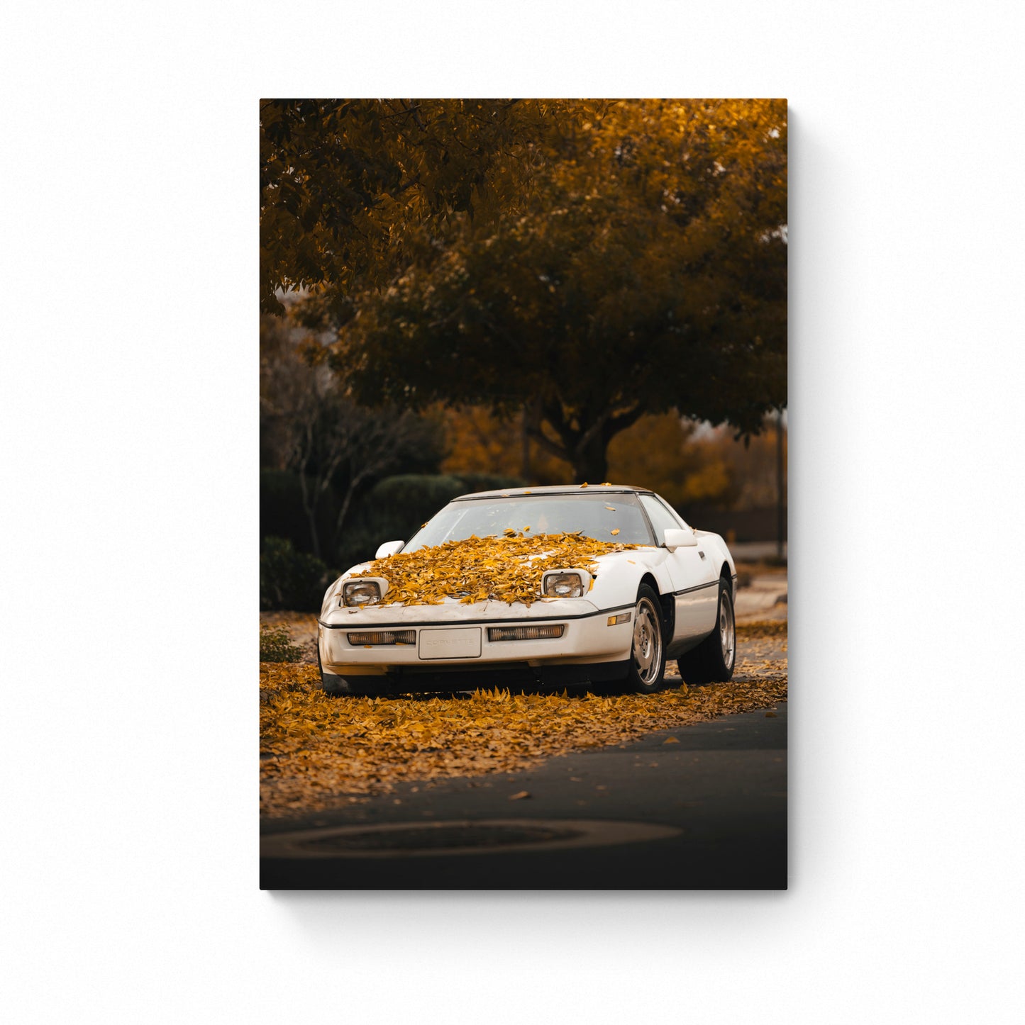 vintage car print