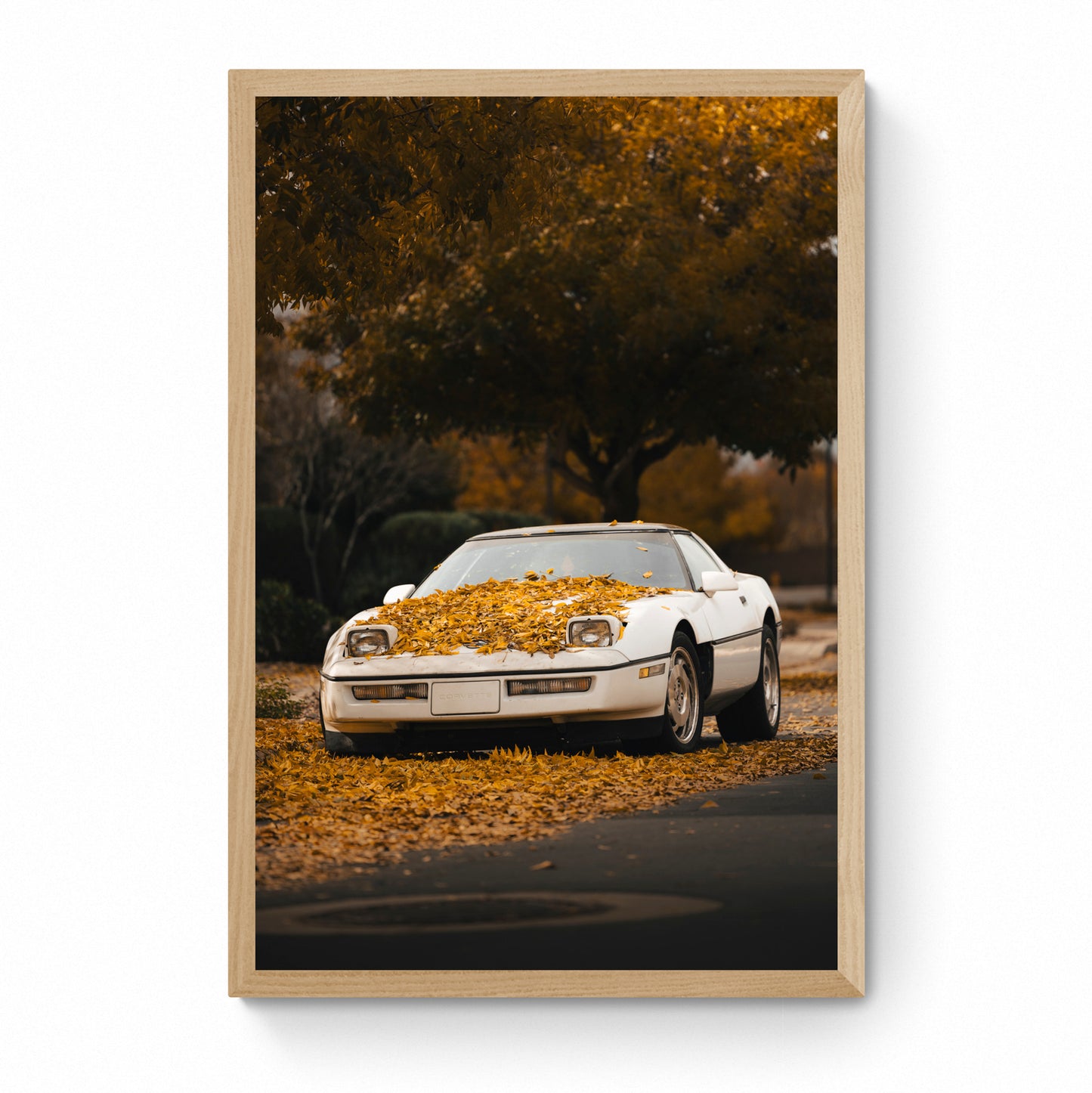 vintage white corvette