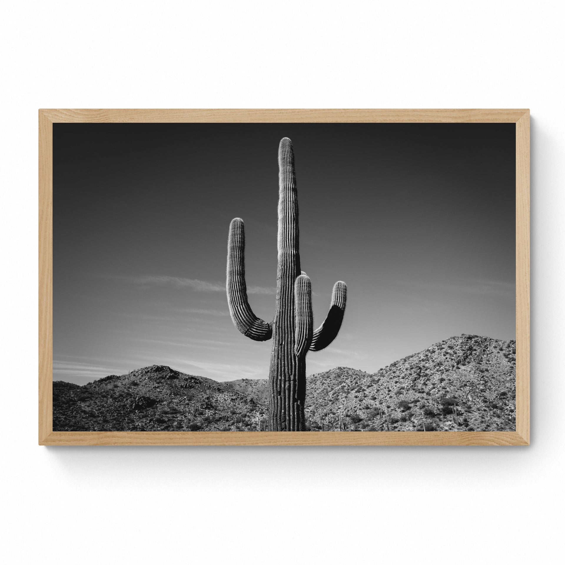 Black And White Cactus Print