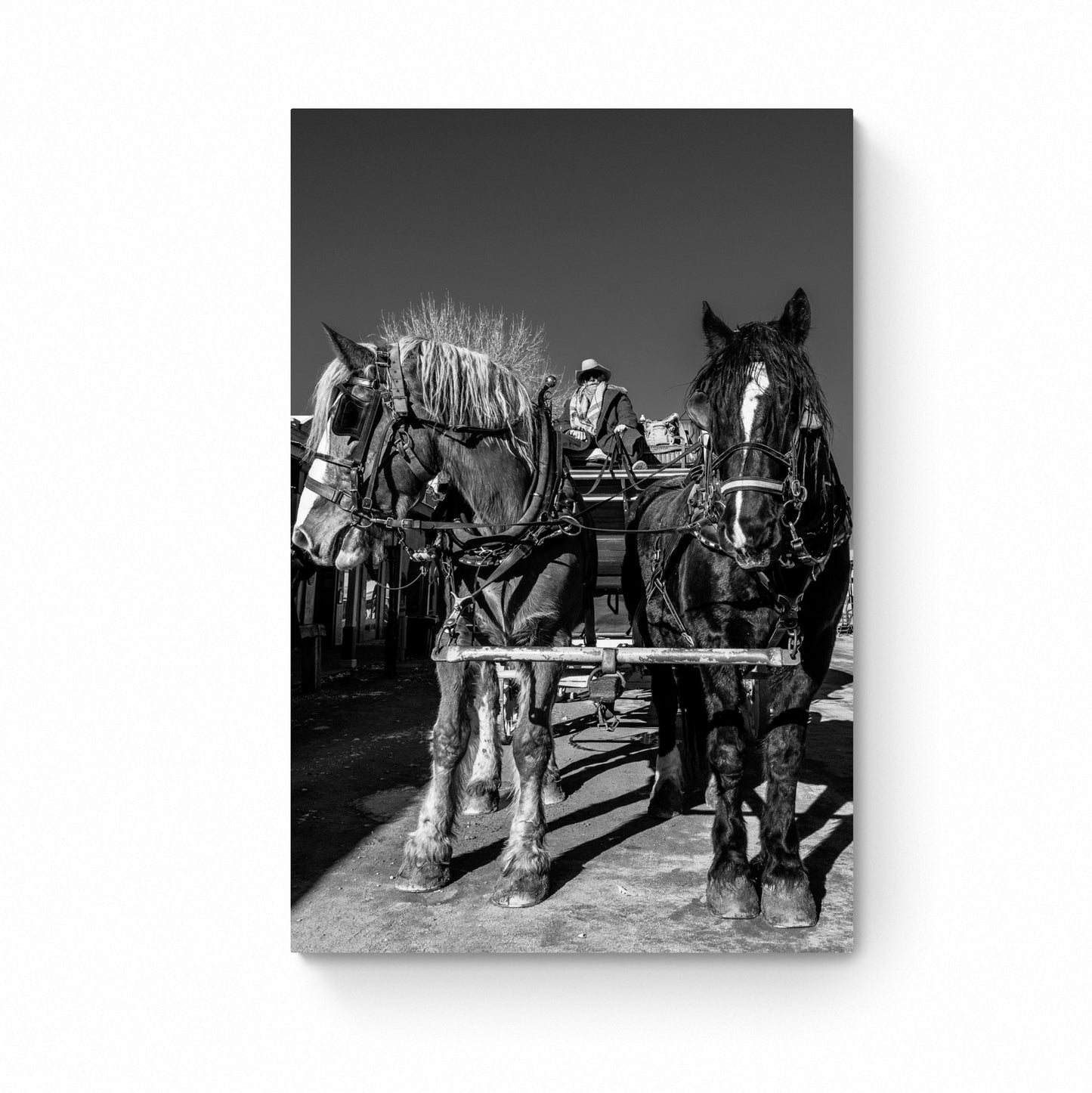 black and white western photos