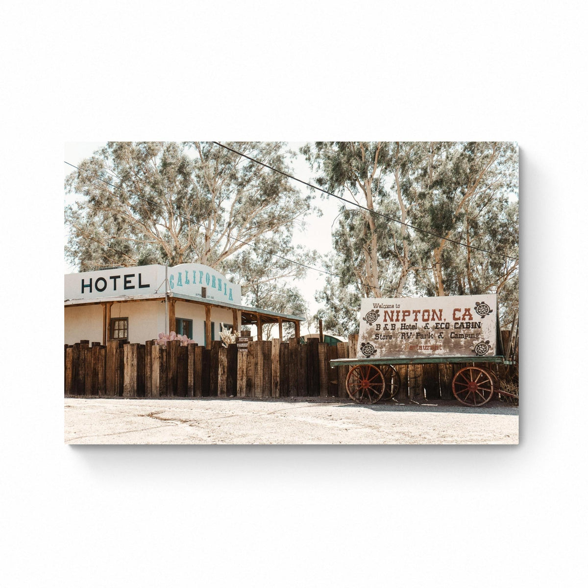 hotel california photography