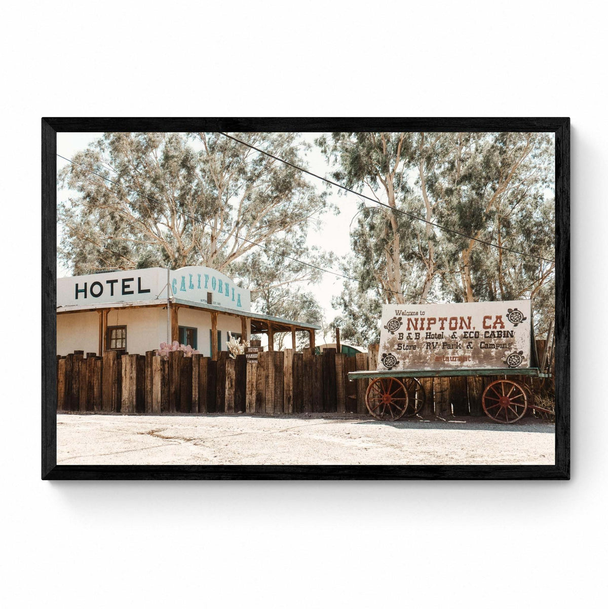 nipton california