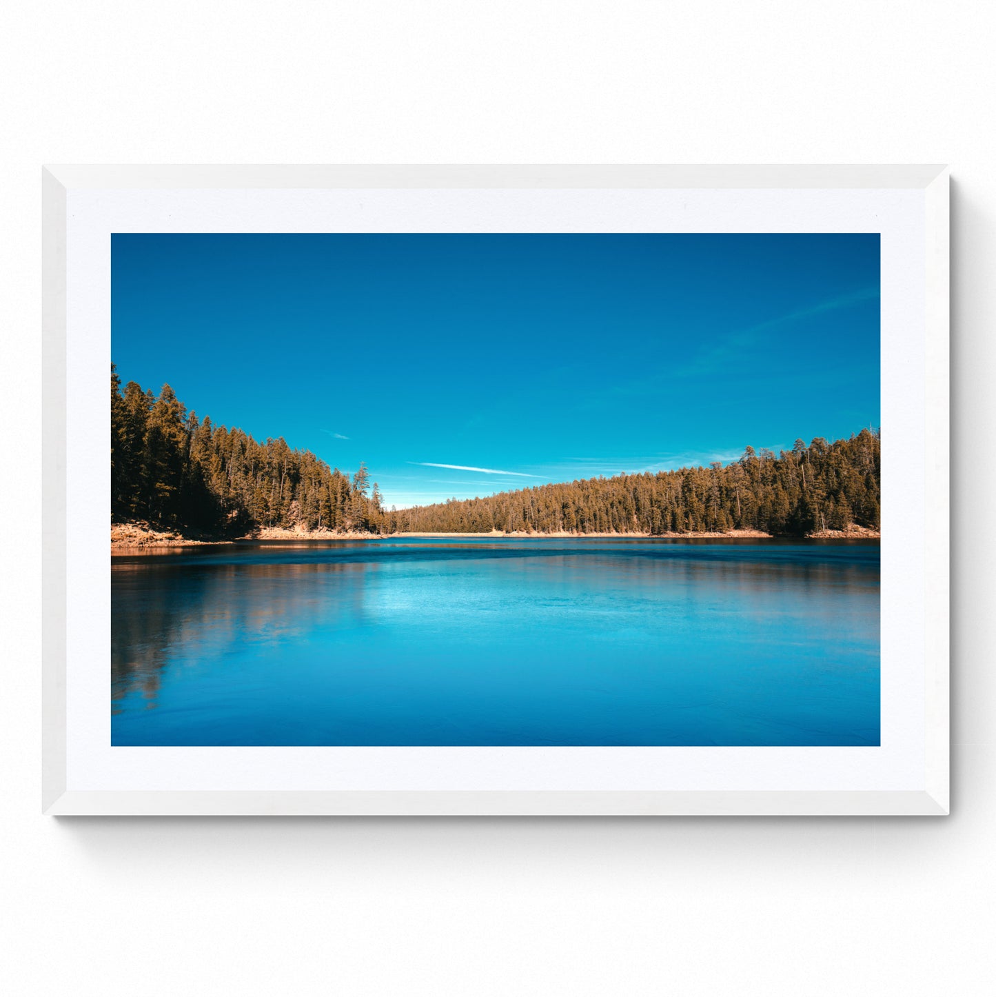 nature wall art