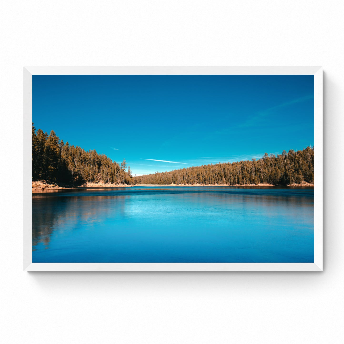 scenic wall decor