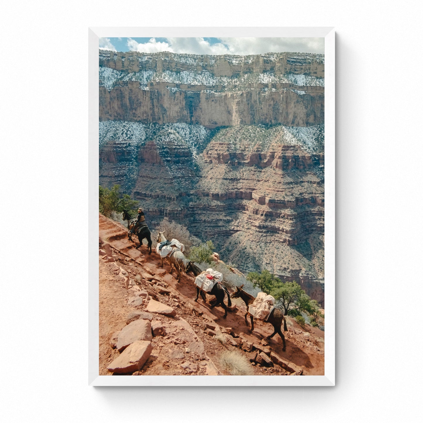 grand canyon print