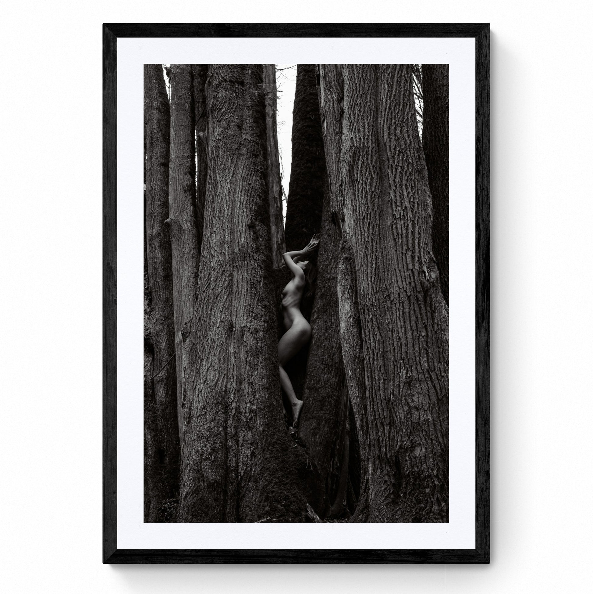 nude art photography