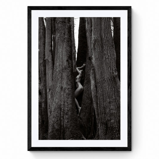 nude art photography