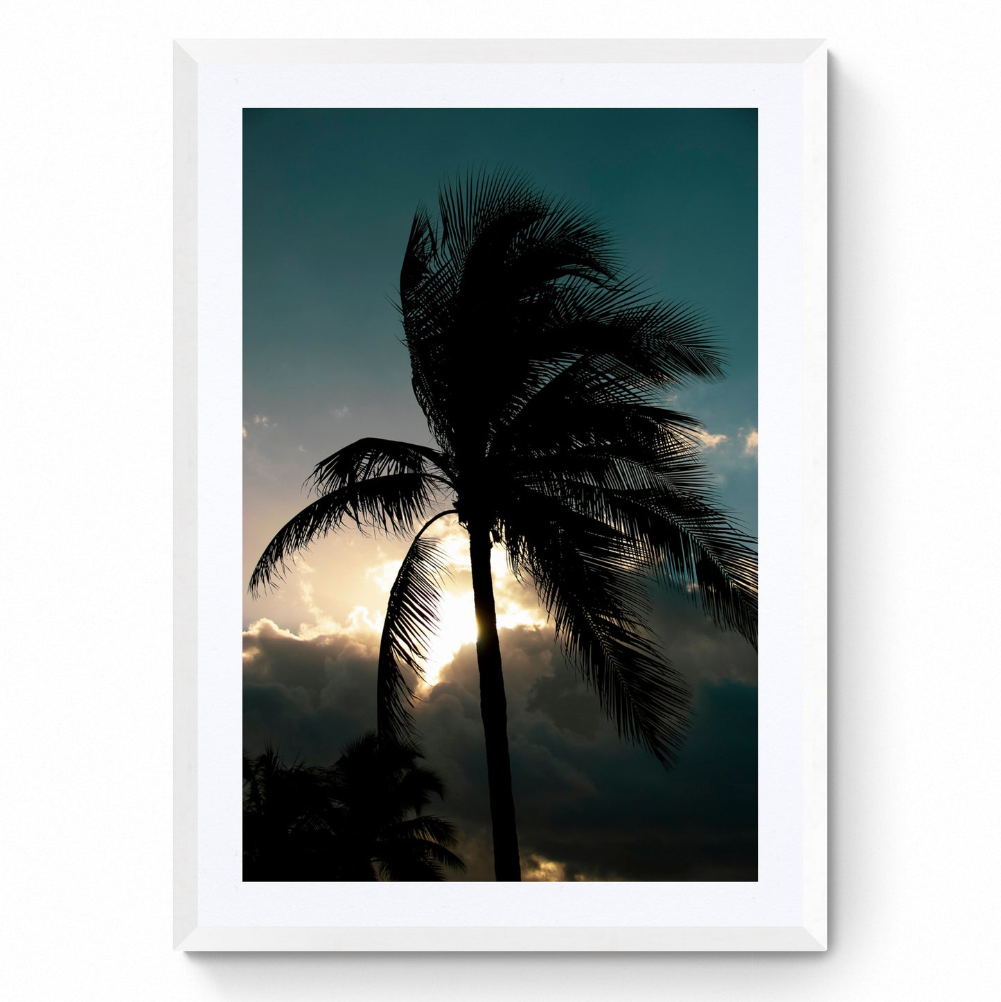 palm tree picture prints