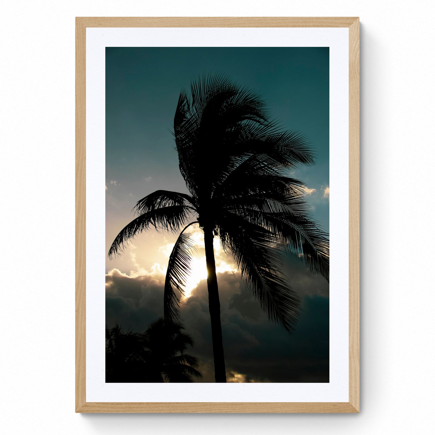 palm tree frame