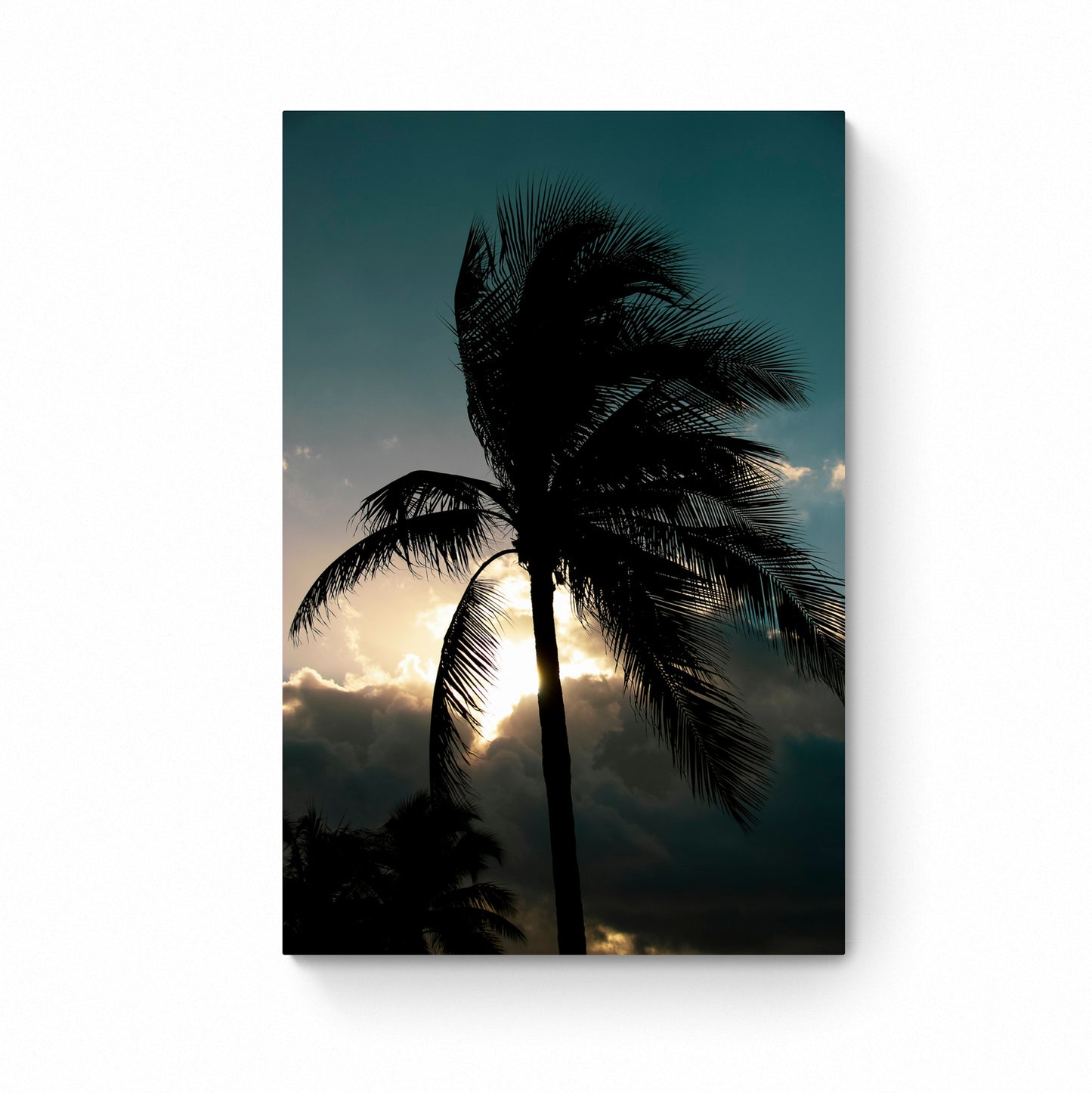 palm tree print