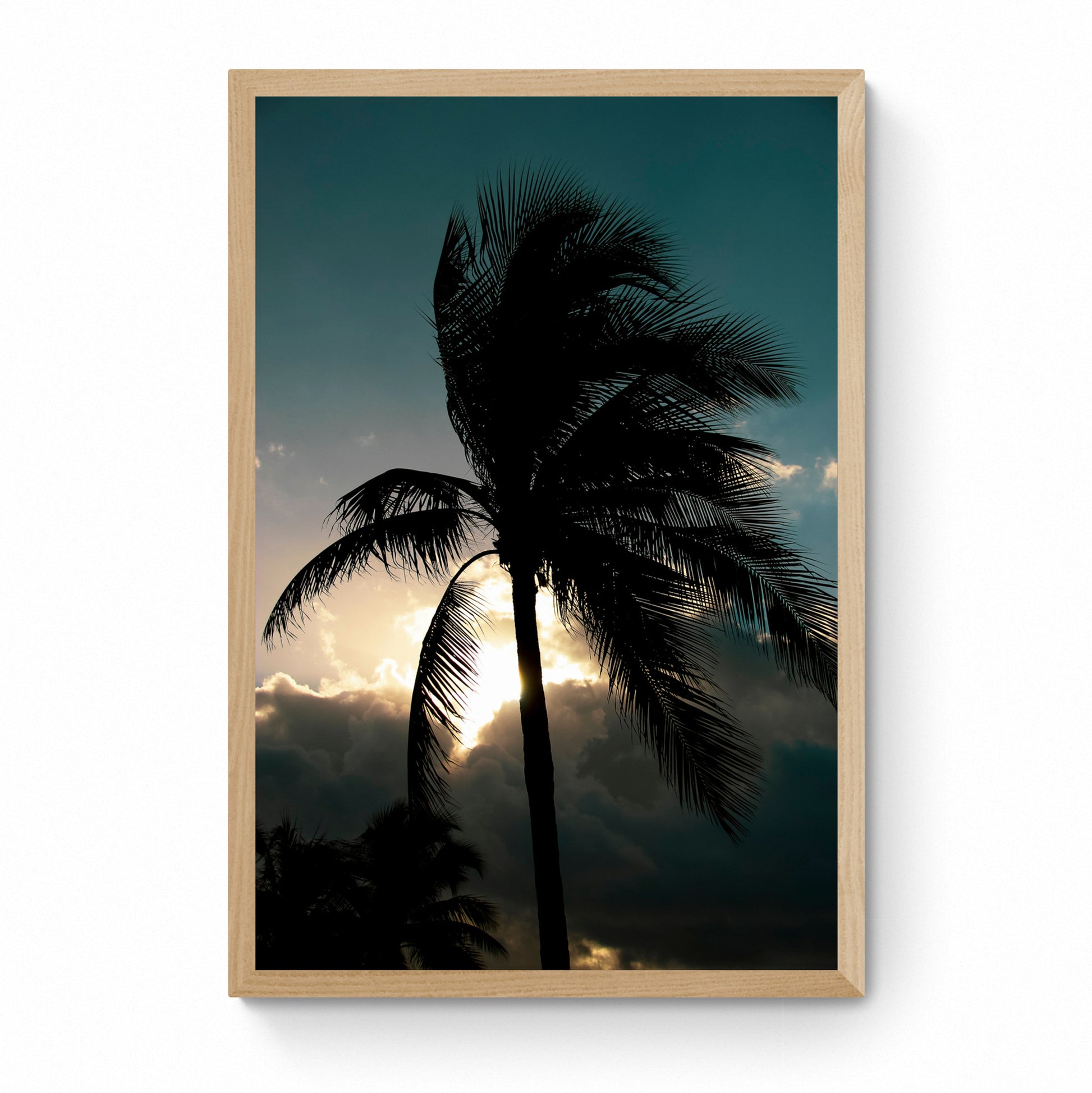 palm tree frame