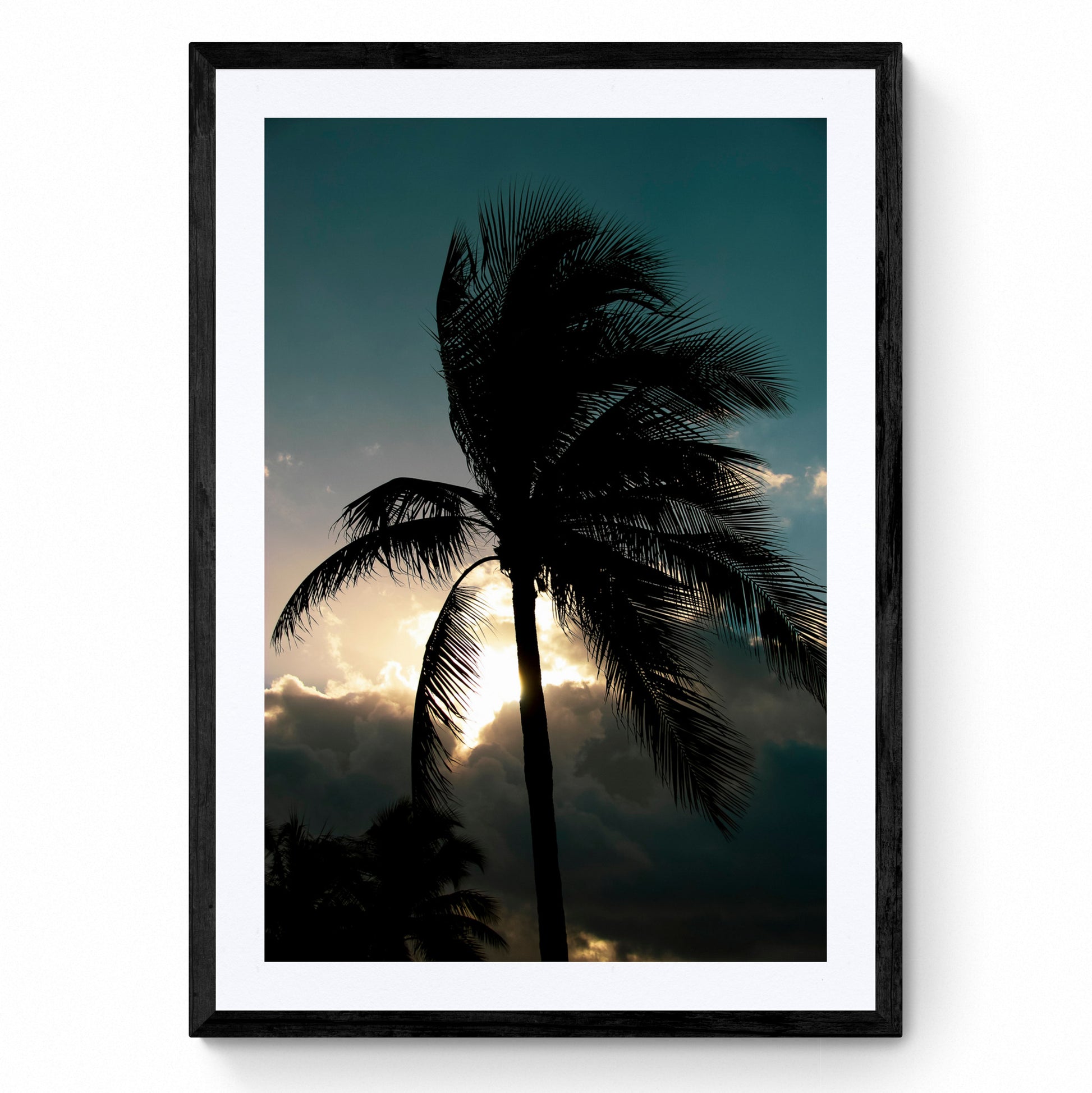 palm tree print