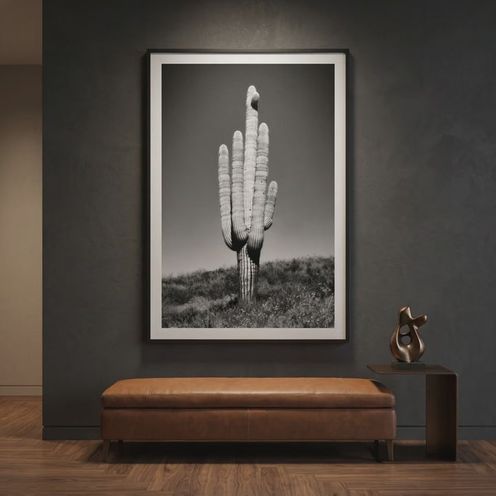 black and white cactus wall art