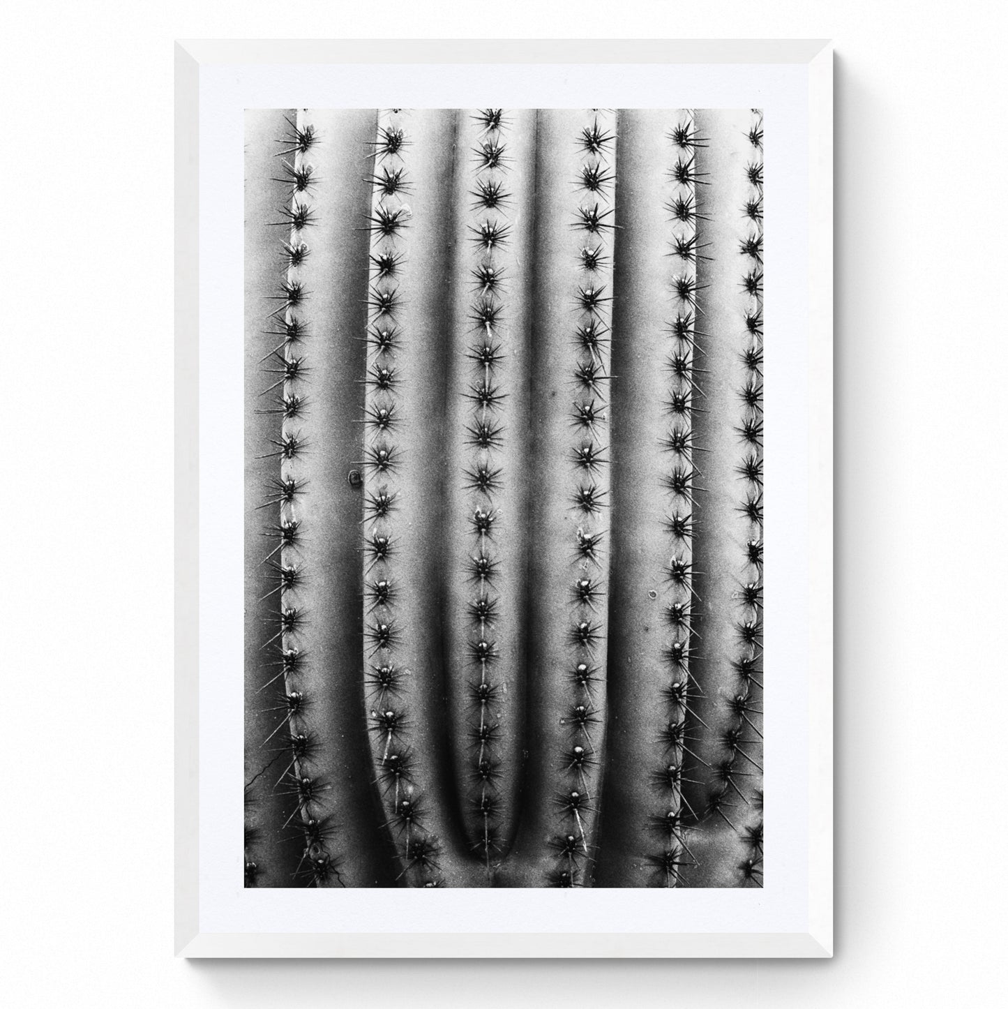 black and white wall art prints