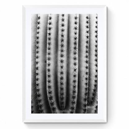 black and white wall art prints