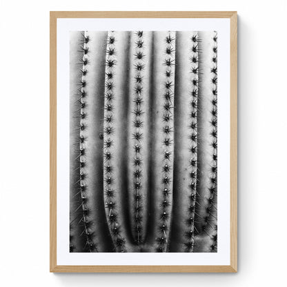 large black and white wall art