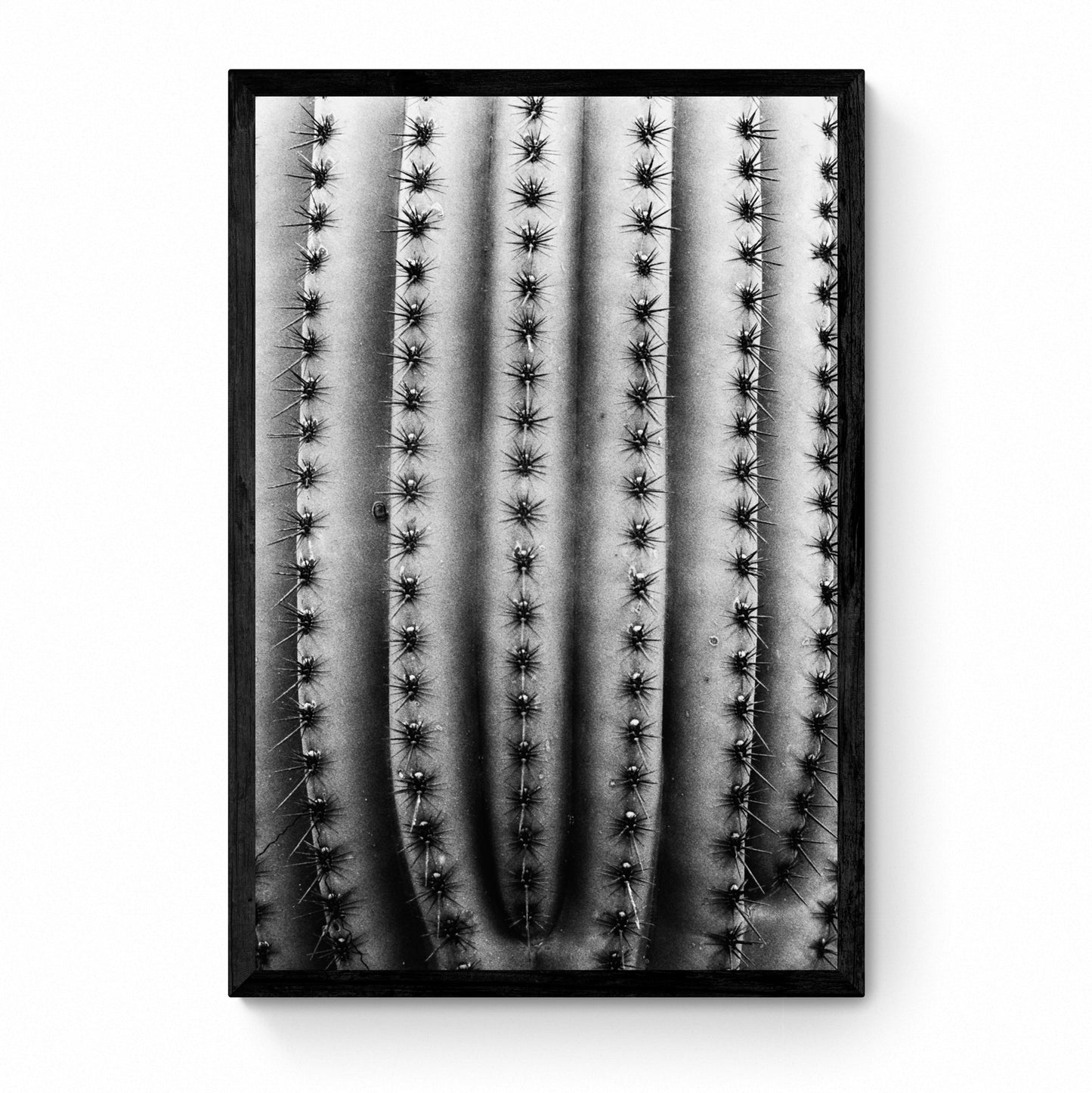 black and white wall art