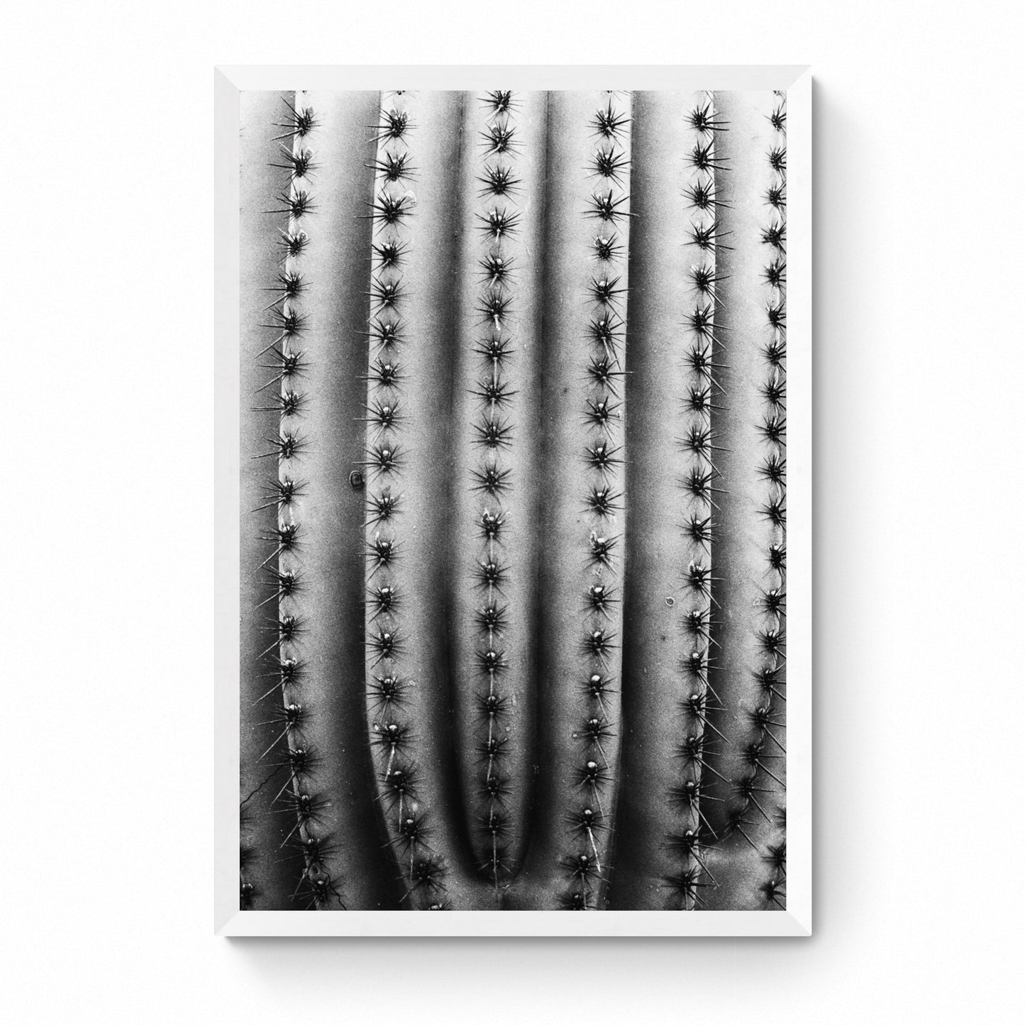 black and white wall art prints