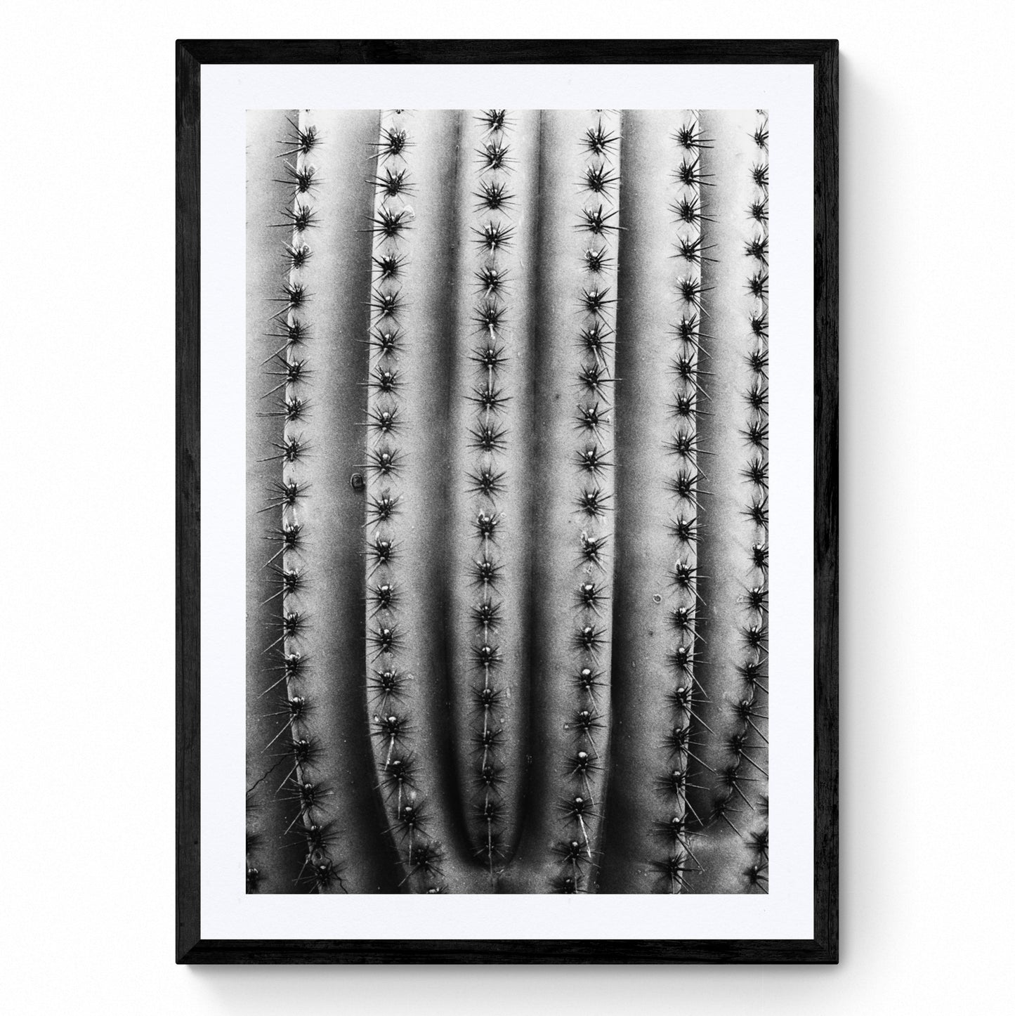 black and white wall art