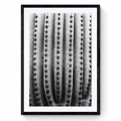 black and white wall art