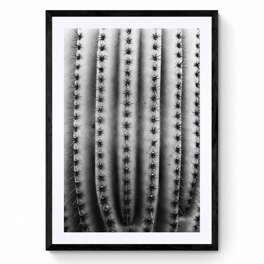 black and white wall art