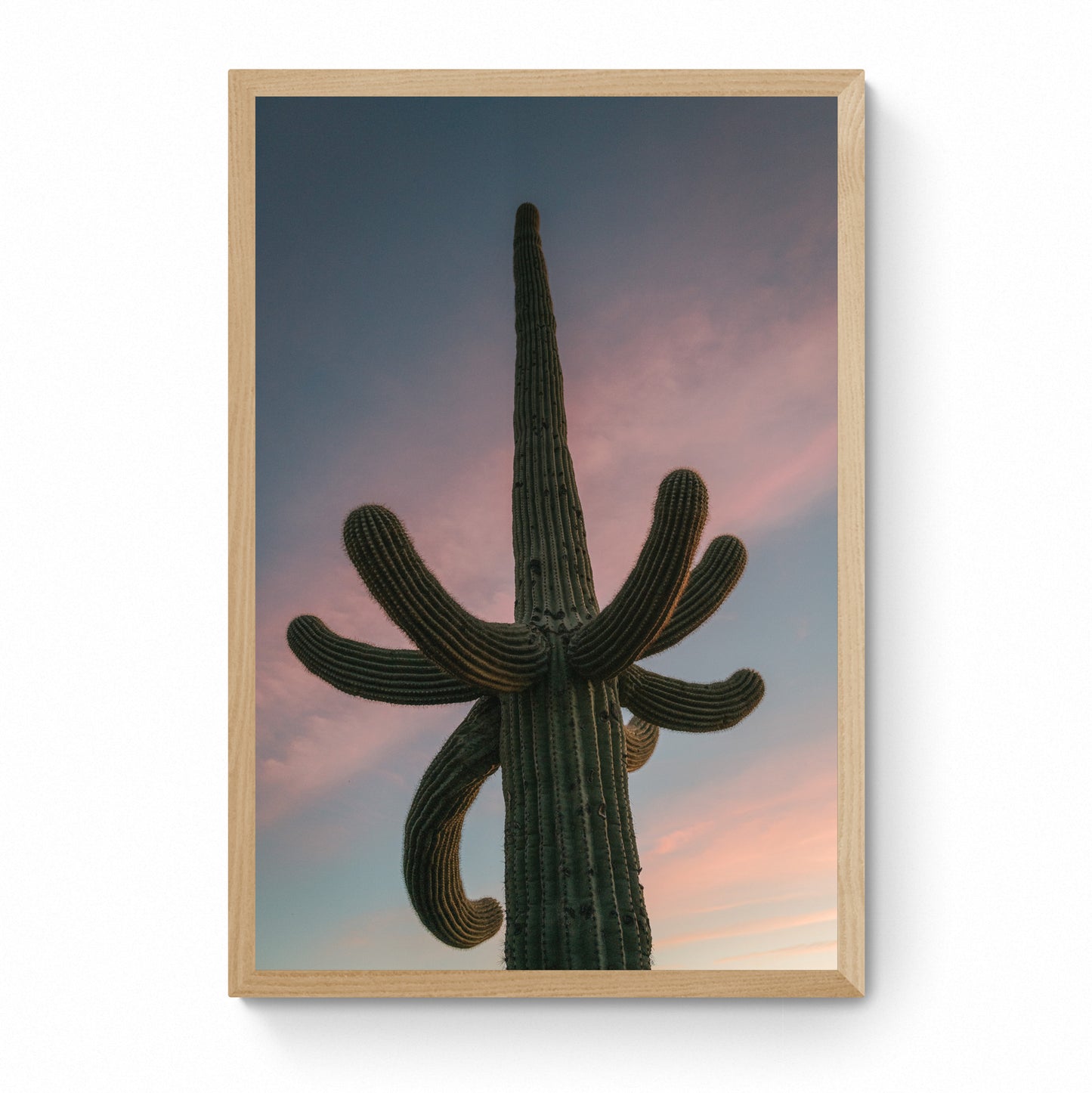 cactus wall art photography