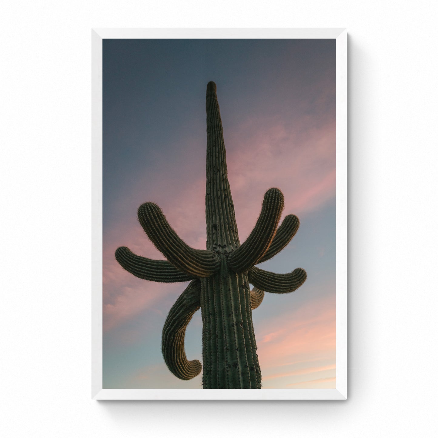 large cactus wall art
