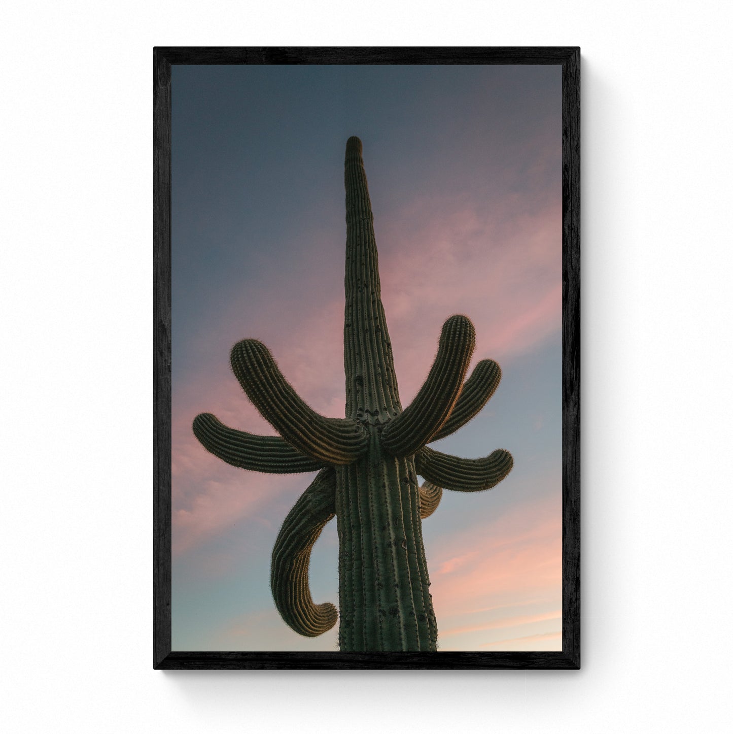 framed cactus wall art