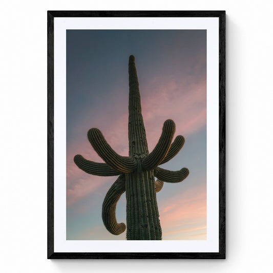 cactus wall art